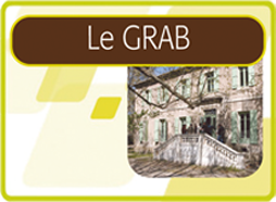Le Grab