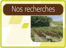 Nos Recherches