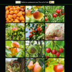GRAB_guide_varietal_sensibilites_aux_bioagresseurs_2016