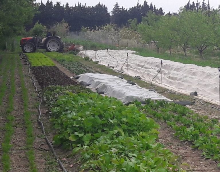 Présentation de notre ferme pilote en agroécologie - Grab