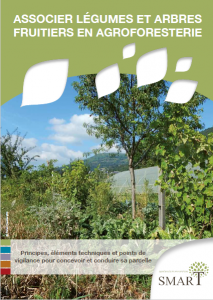 Guide technique légumes et fruitiers en Agroforesterie
