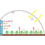 [VISITE] Serre bioclimatique 84