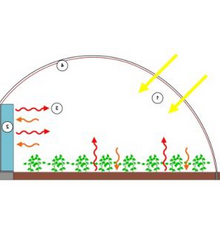 [VISITE] Serre bioclimatique 84