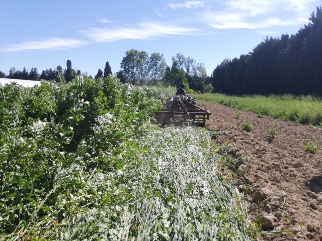 [SEMINAIRE] Carrefour de l'innovation Agronomique - Avignon (84)