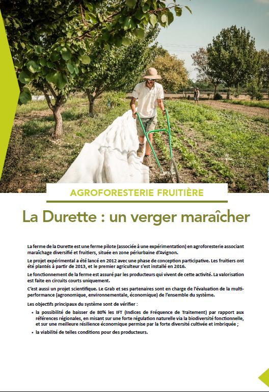 Comment expérimenter des systèmes agroforestiers - Grab