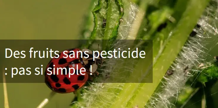 [CONFERENCE] Des fruits sans pesticides : pas si simple !