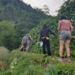 A LA FERME Sélection participative