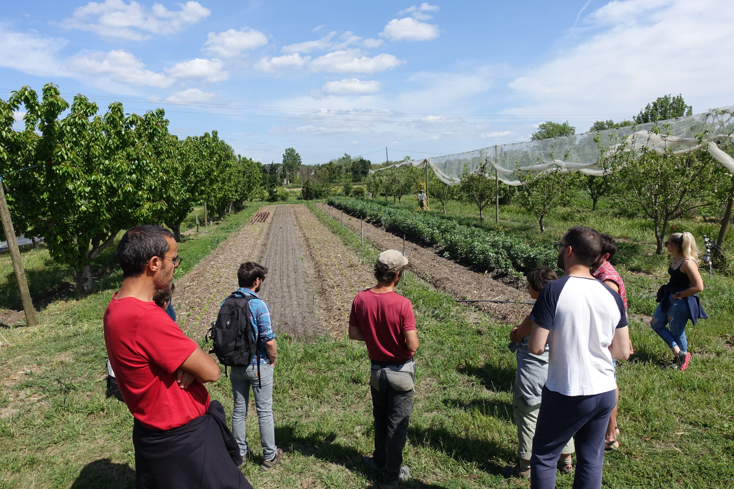 RENCONTRES Place de l'arbre au sein des systèmes maraîchers