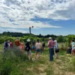 EVENEMENT Rencontre technique Produire des fruits aujourd’hui et demain en Val de Drôme
