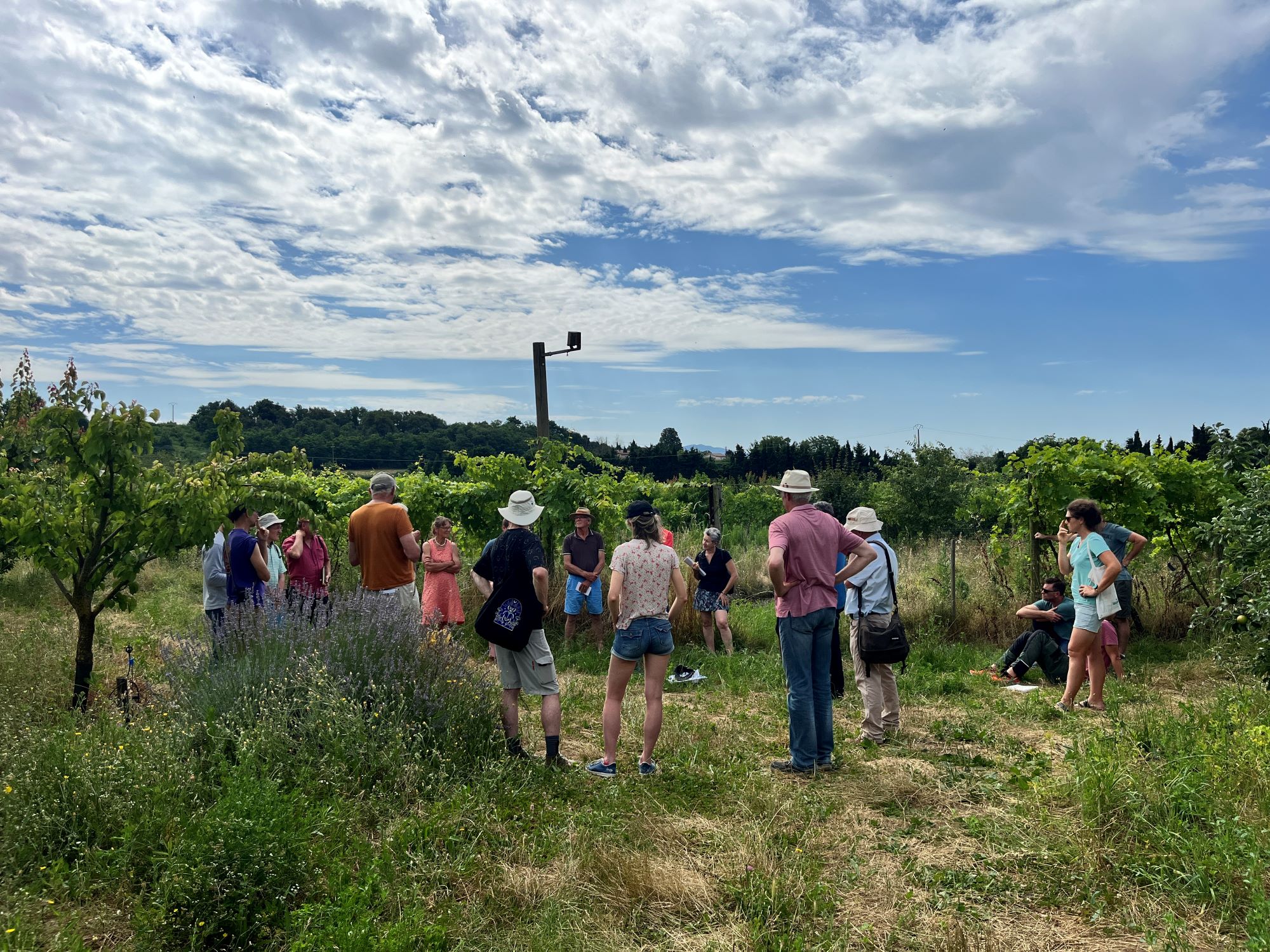 EVENEMENT Rencontre technique Produire des fruits aujourd’hui et demain en Val de Drôme