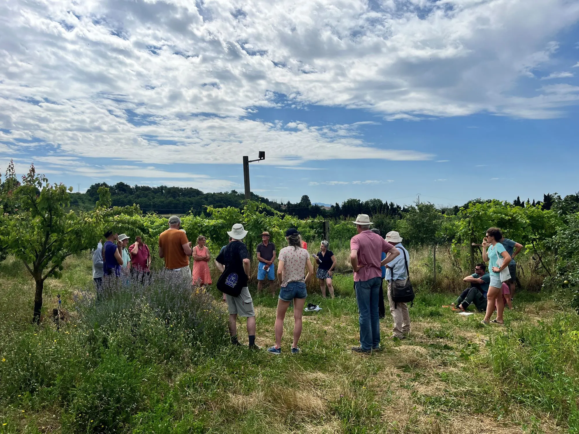 RENCONTRE TECHNIQUE Produire des fruits aujourd’hui et demain en Val de Drôme (26)