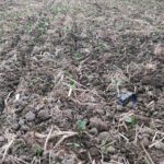 [ECHANGES] Vitrine couvert végétaux sous abri