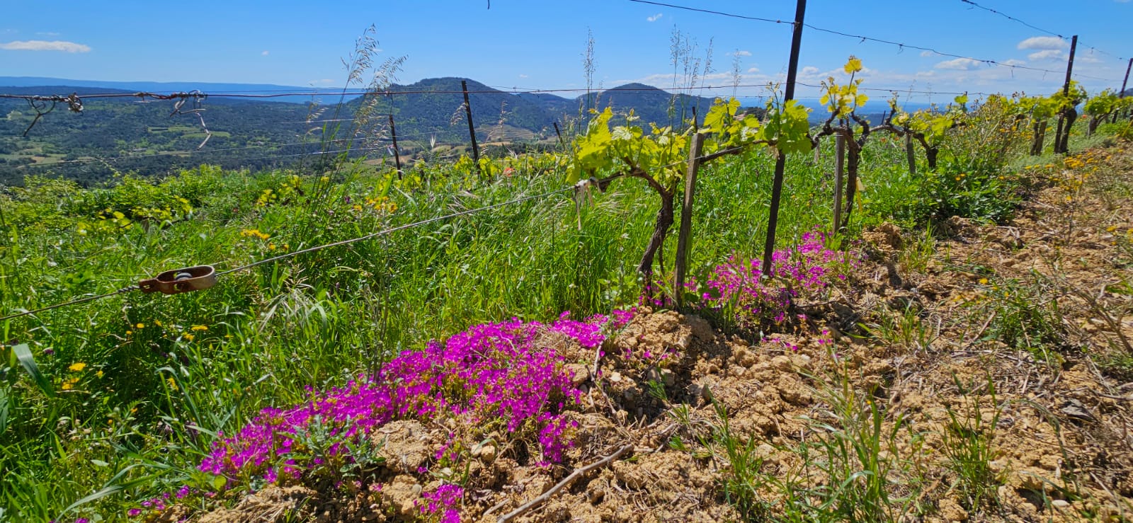 [JOURNEE TECHNIQUE] Agroécologie dans le Luberon